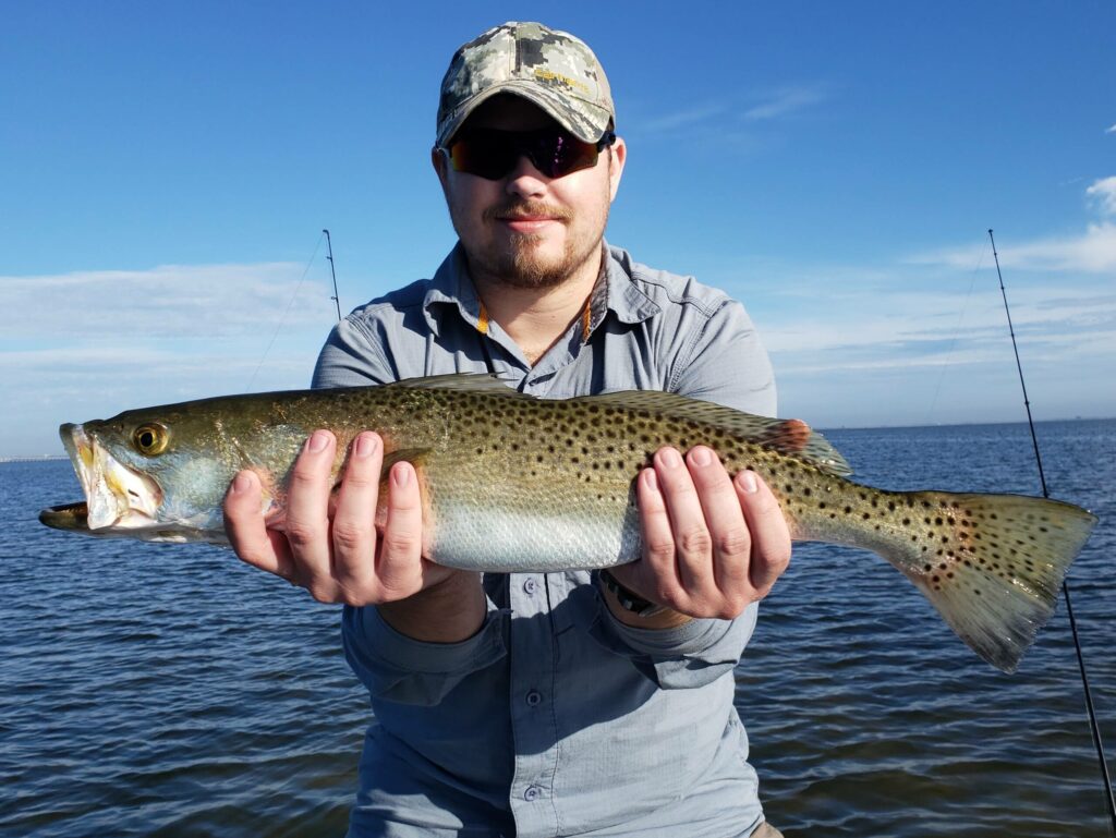 Fall Snook Fishing In Tampa - Bag´Em Fishing Charters