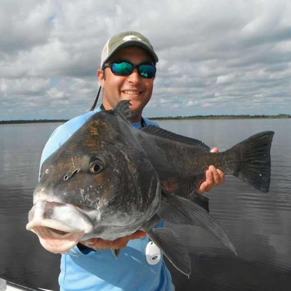 A picture of Tampa Black Drum Fishing with Bag´Em Fishing Charters