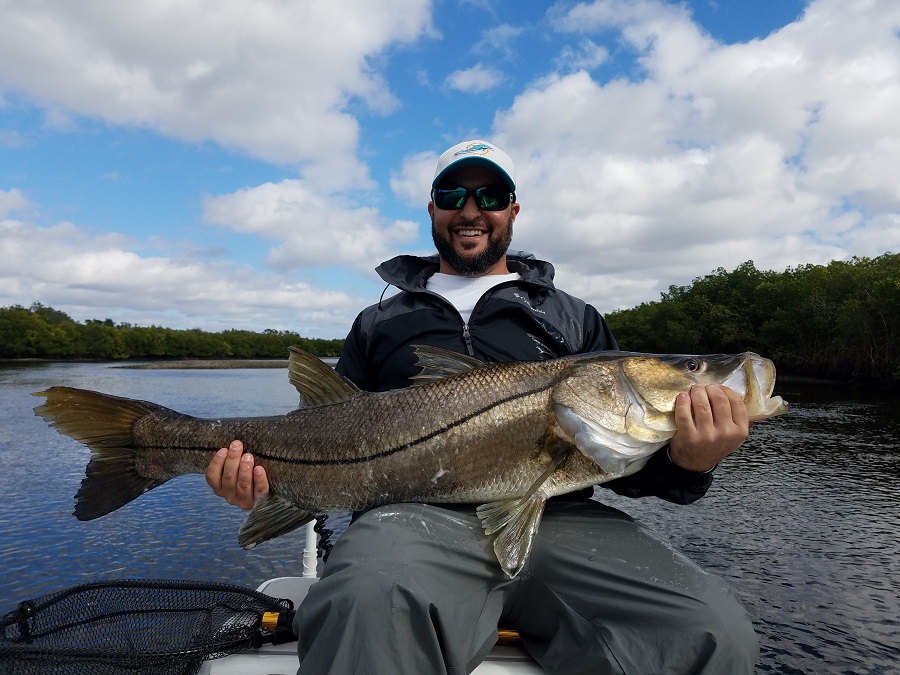 A picture of Backcountry Snook Fishing in Tampa Bay with Bag´Em Fishing Charters