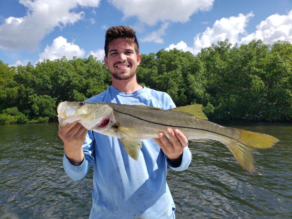 A picture of Why Snook Thrive In Tampa Bay with Bag´Em Fishing Charters