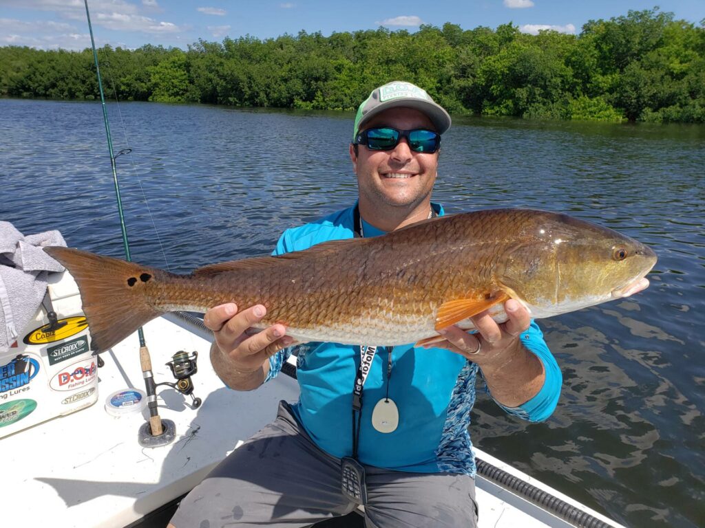 A picture of The Best Spots For Redfish In Tampa with Bag´Em Fishing Charters