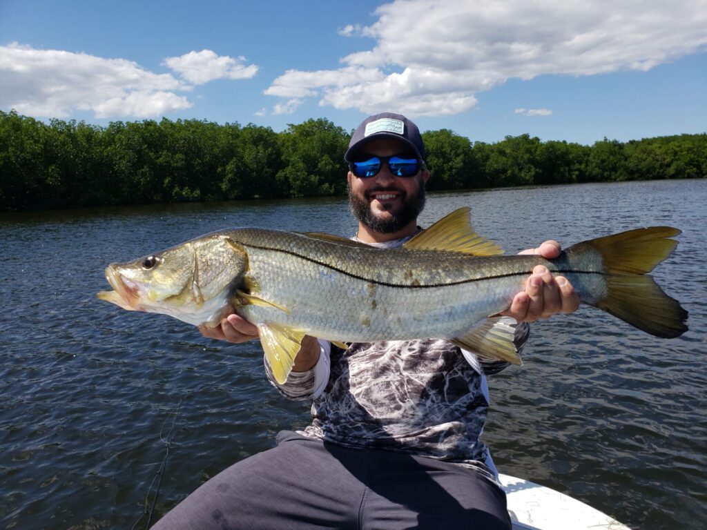 A picture of Fall Snook Fishing In Tampa with Bag´Em Fishing Charters