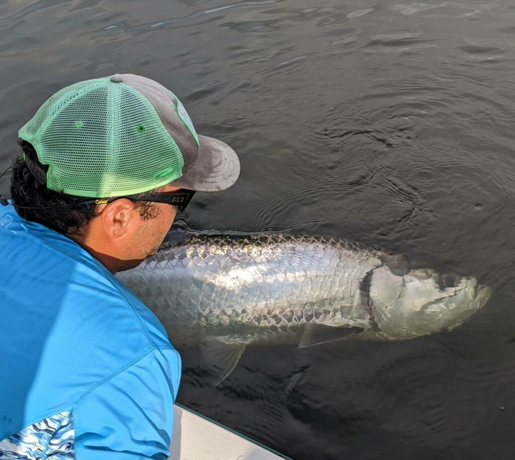 A picture of Popular Species To Target In Tampa Bay with Bag´Em Fishing Charters