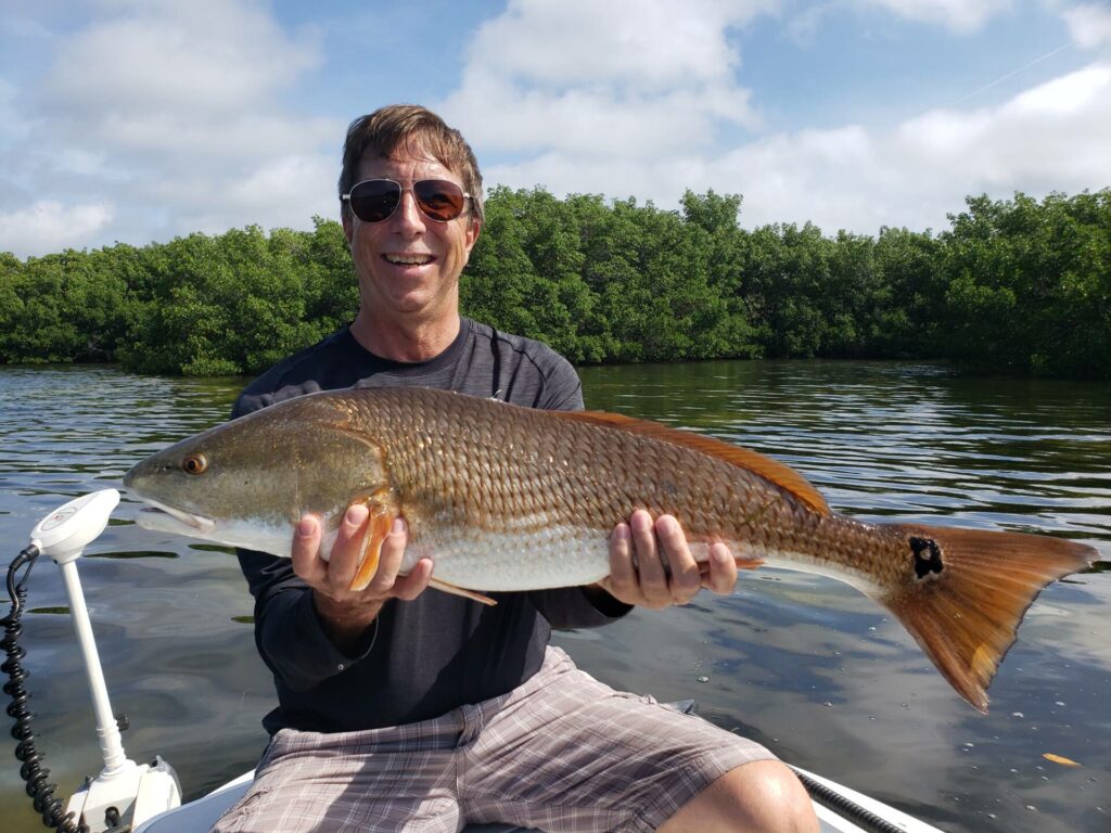 A picture of The Pumpkin Patch: Fishing For Fall Red's In Tampa with Bag´Em Fishing Charters