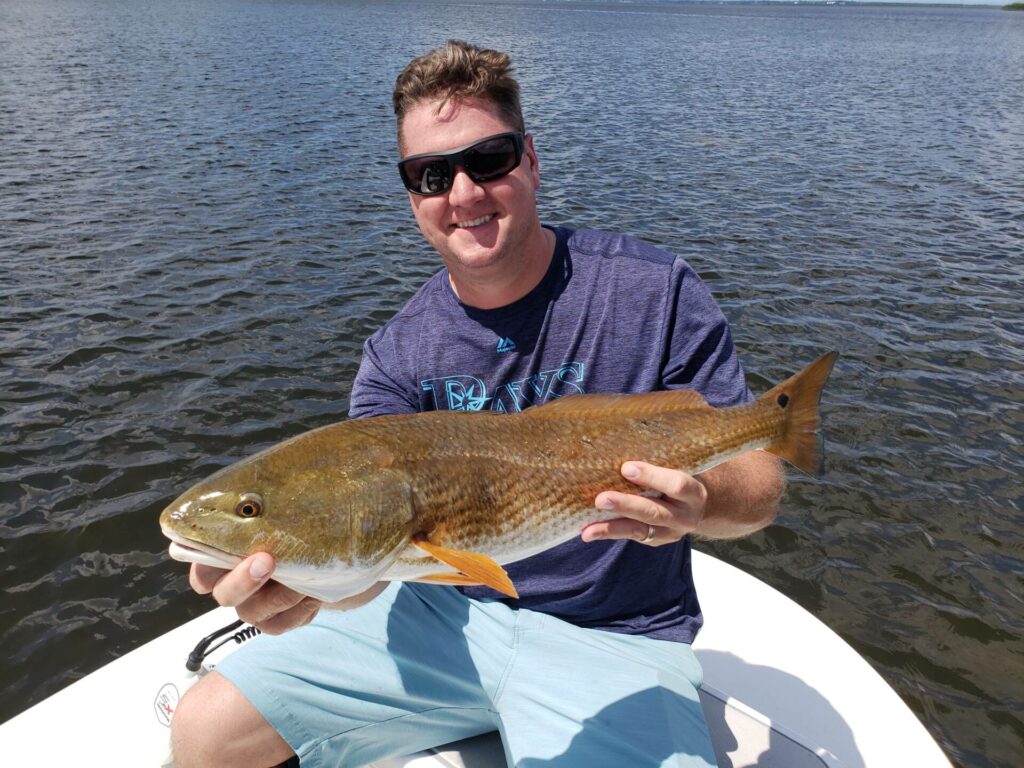 A picture of June 2023 Fishing Report for Pinellas County with Bag´Em Fishing Charters