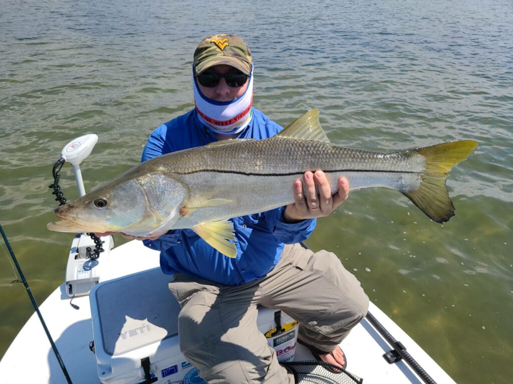 A picture of Backcountry Snook Fishing in Tampa Bay with Bag´Em Fishing Charters