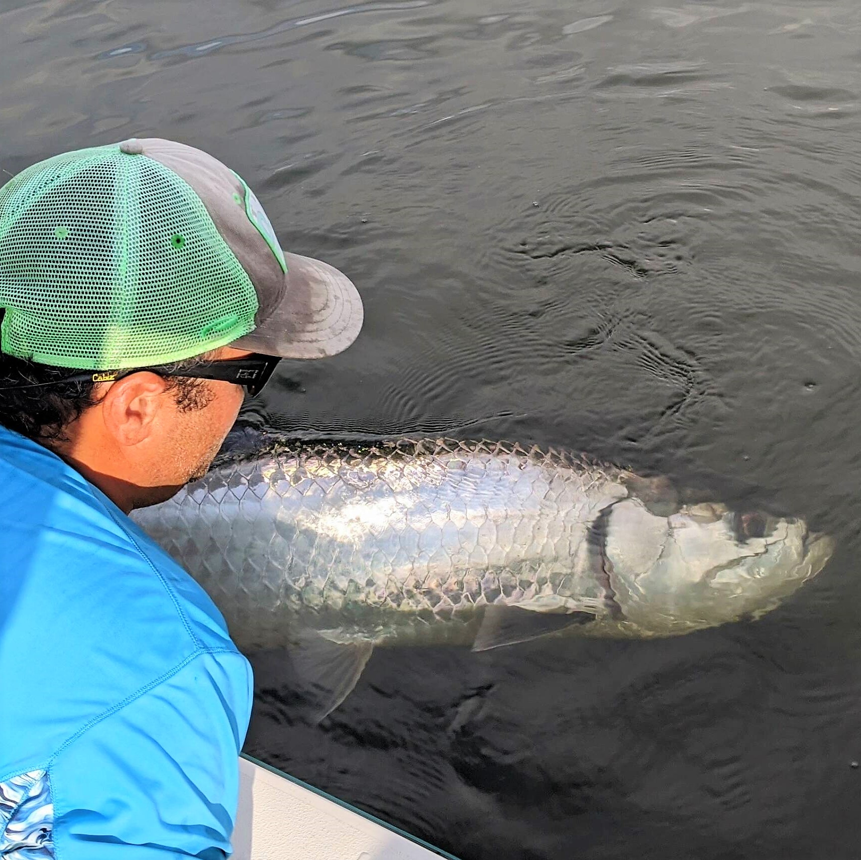 A picture of Tampa Bay: Discovering the Top Inshore Gamefish with Bag’Em Fishing Charters with Bag´Em Fishing Charters