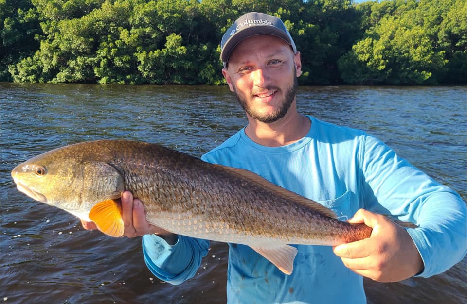 A picture of Why Redfish Thrive In The Tampa Bay Estuary with Bag´Em Fishing Charters