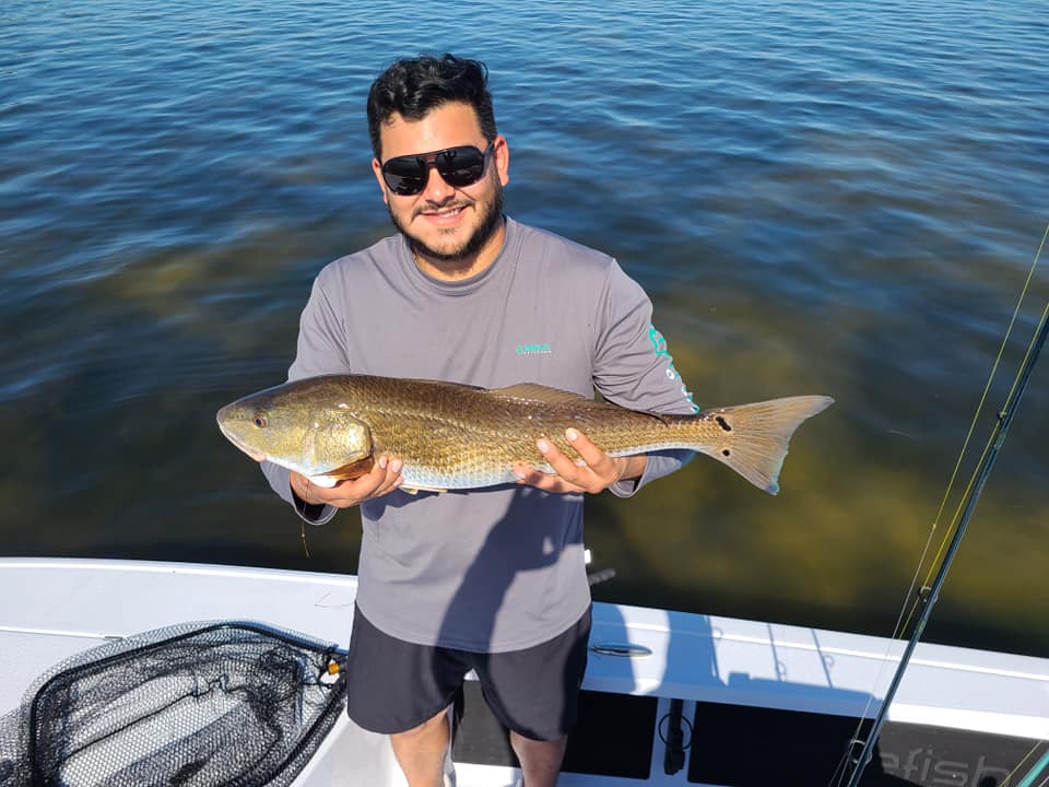 A picture of Quality Redfish Swarm Tampa Bay with Bag´Em Fishing Charters