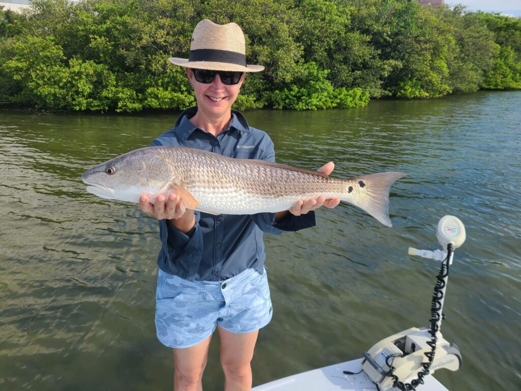 A picture of Popular Inshore Species In Tampa Bay During July with Bag´Em Fishing Charters