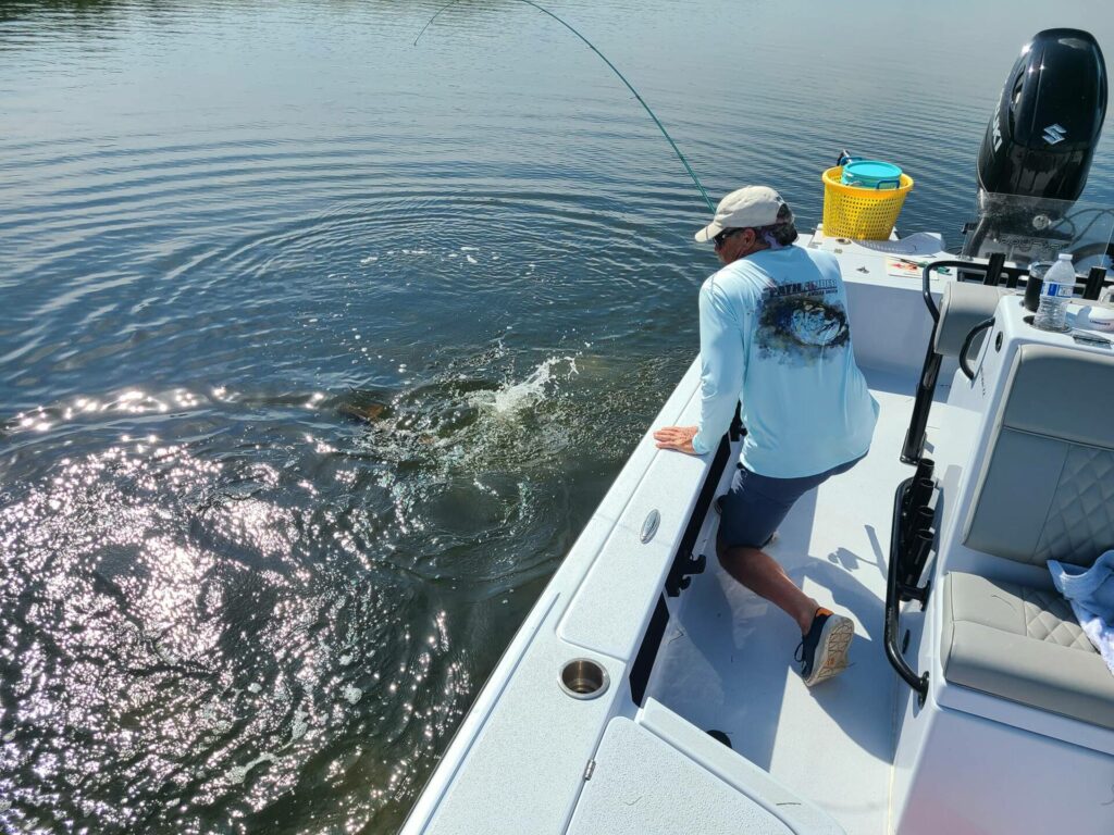 A picture of Targeting Summertime Redfish In Tampa Bay with Bag´Em Fishing Charters