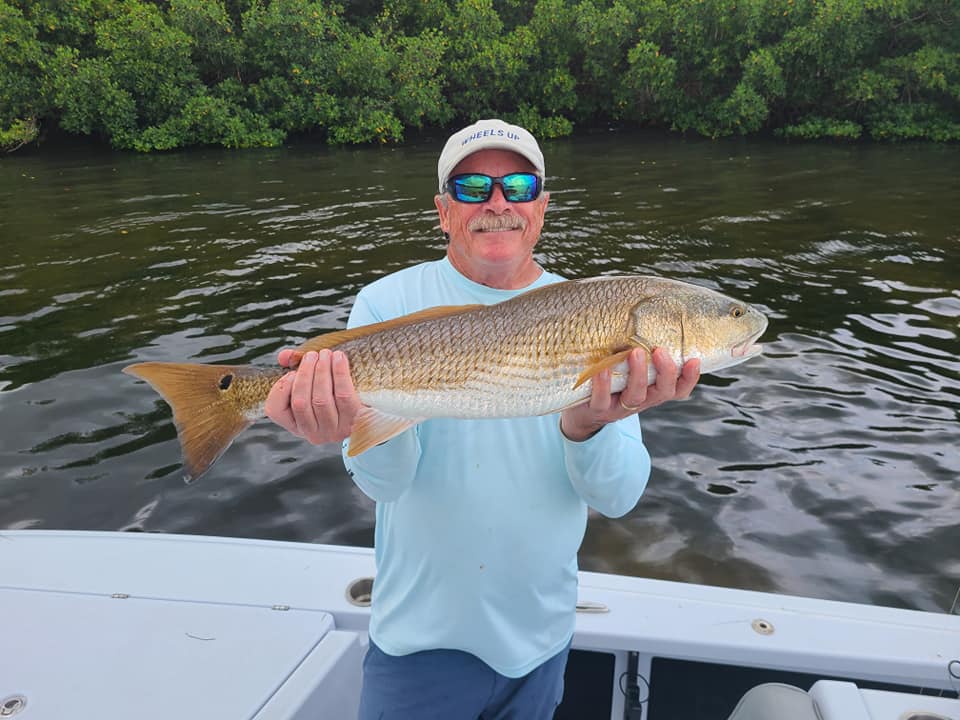 A picture of Targeting Summertime Redfish In Tampa Bay with Bag´Em Fishing Charters