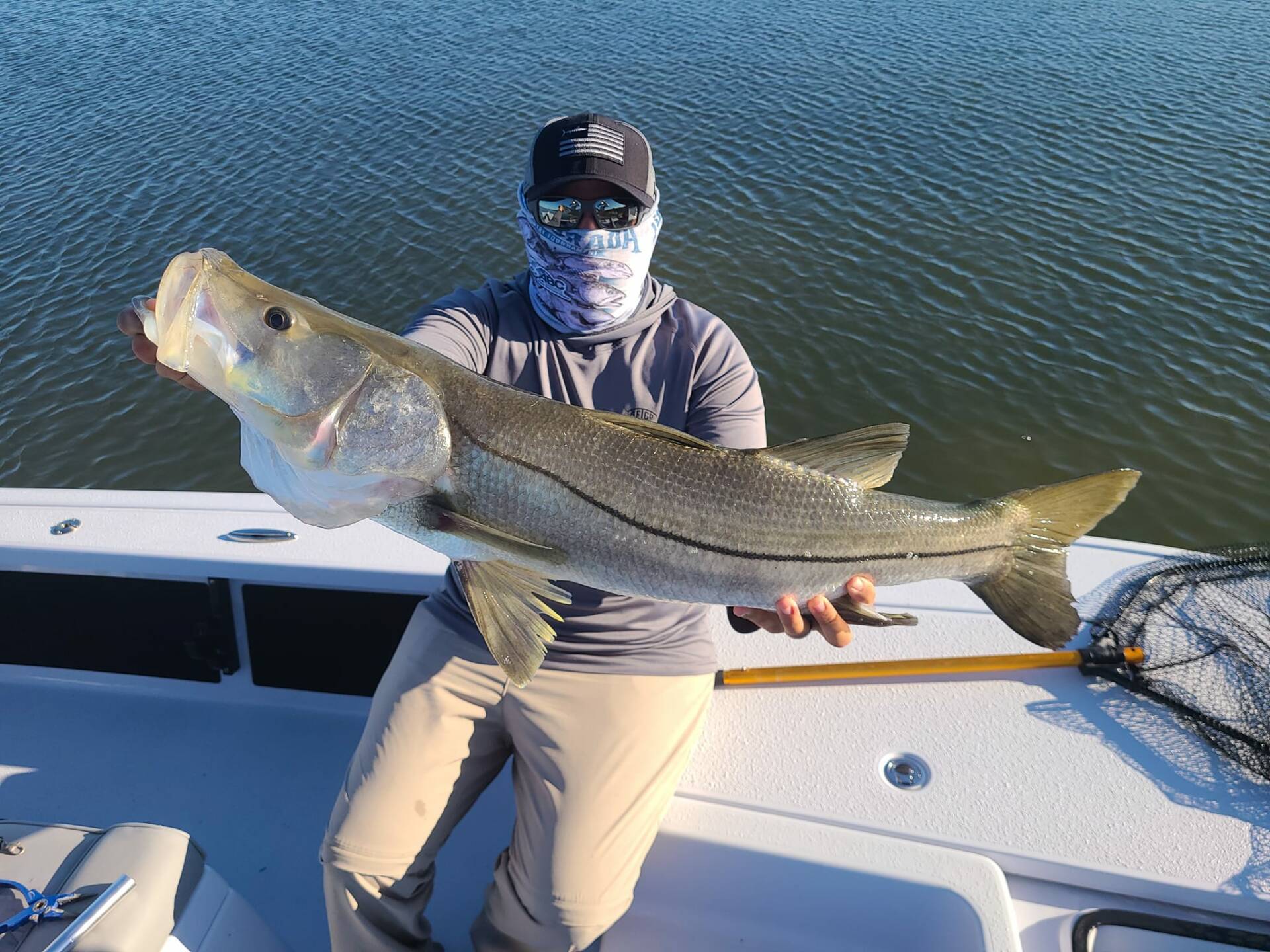 A picture of Tampa Bay: Discovering the Top Inshore Gamefish with Bag’Em Fishing Charters with Bag´Em Fishing Charters