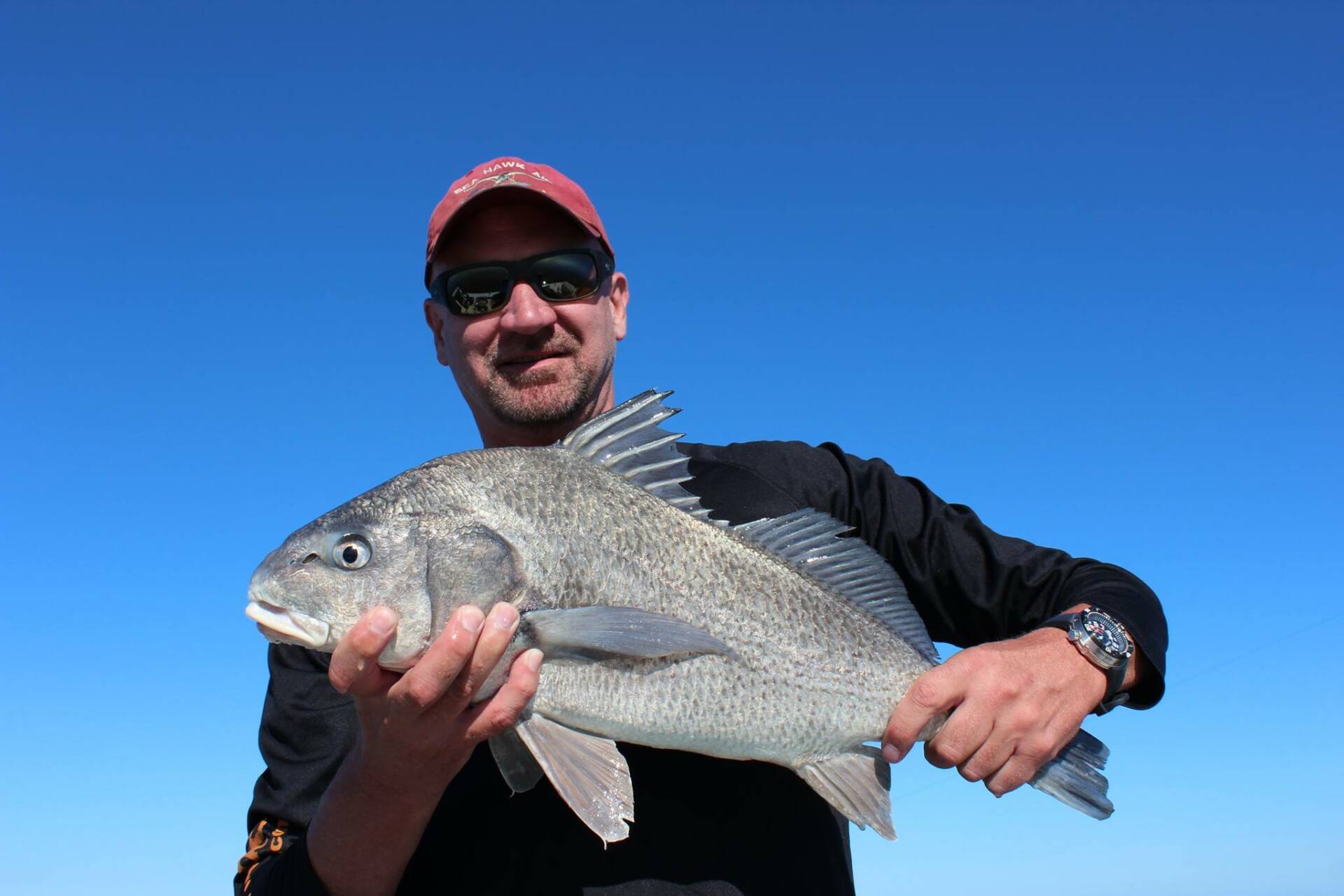 A picture of Bagging Black Drum in Tampa Bay with Bag´Em Fishing Charters