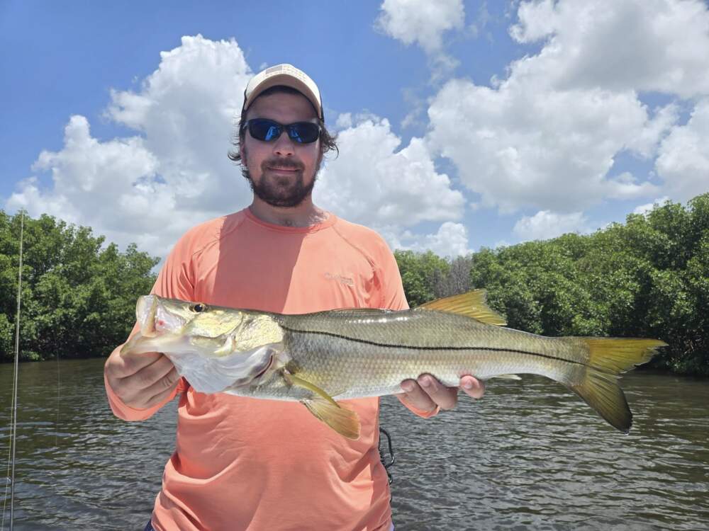 A picture of February Fishing in Tampa Bay, Florida with Bag´Em Fishing Charters