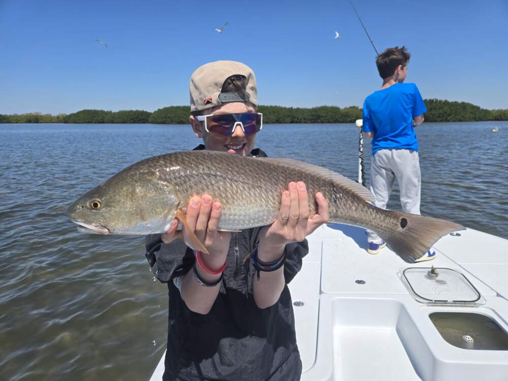 March 23rd Fishing Report with Bag´Em Fishing Charters A picture of March 23rd Fishing Report with Bag´Em Fishing Charters