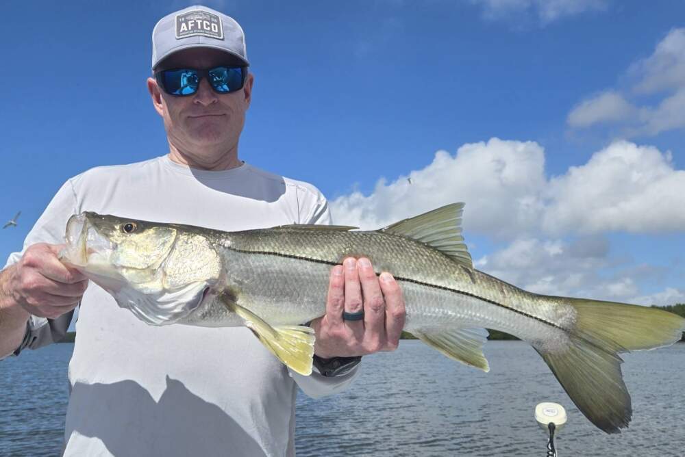 A picture of March Fishing in Tampa Bay, Florida with Bag´Em Fishing Charters