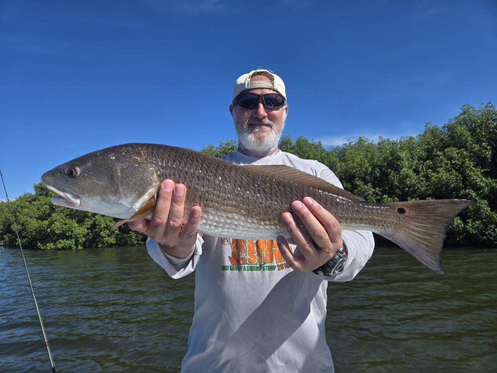 A picture of August 2026 Tampa Bay Fishing Trip with Bag´Em Fishing Charters