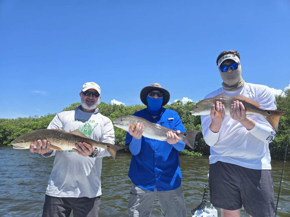 A picture of August 2026 Tampa Bay Fishing Trip with Bag´Em Fishing Charters