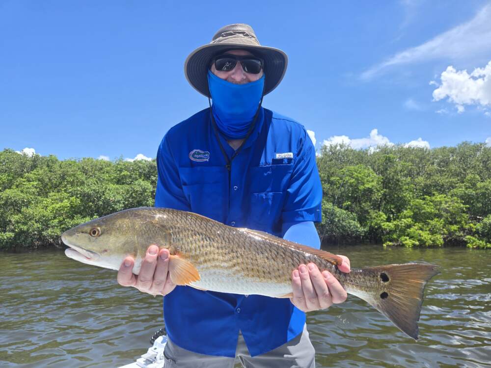 A picture of August 2026 Tampa Bay Fishing Trip with Bag´Em Fishing Charters
